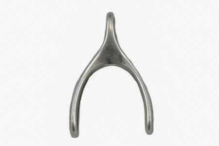 Wishbone, El hueso de la suerte.