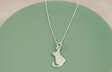 ¡Mi mascota es la más lista y bonita!